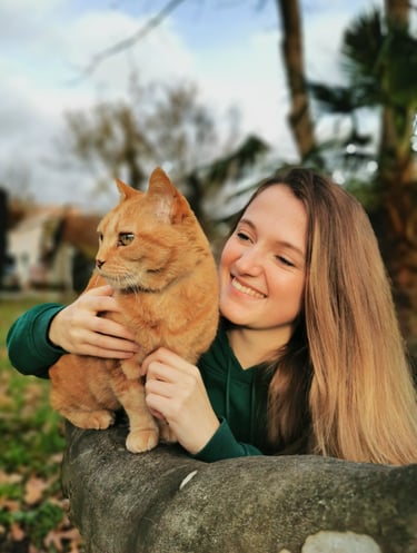 Ostéopathie animale, manipulations ostéopathiques sur un chat par un ostéopathe animalier