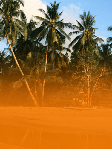 island in port barton with coconut trees