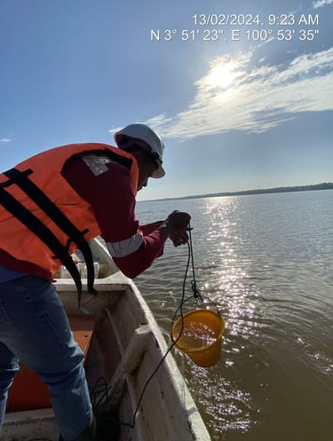 Water quality monitoring