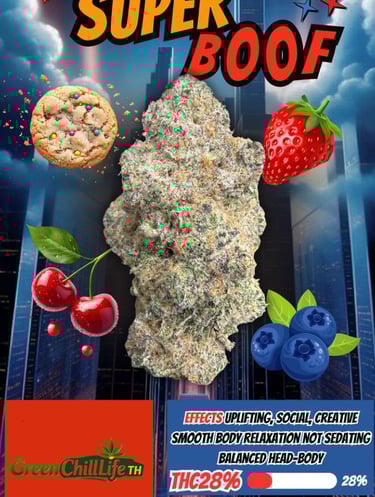 Strawberry Skunk cannabis flower with fruity aromatic notes, shown for legal access in Thailand.