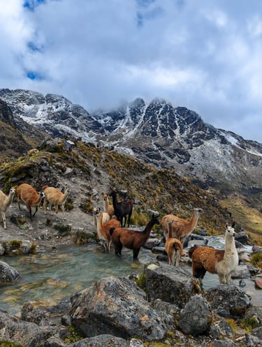 Territorio rural en América Latina con potencial para el desarrollo del turismo sostenible