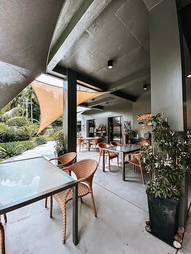 a patio with a table and chairs and a potted plant
