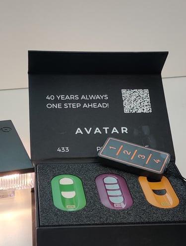 Avatar BeB ir Facile BeB – premium klasės vartų pulteliai, rinkos lyderiai Baltijos šalyse
