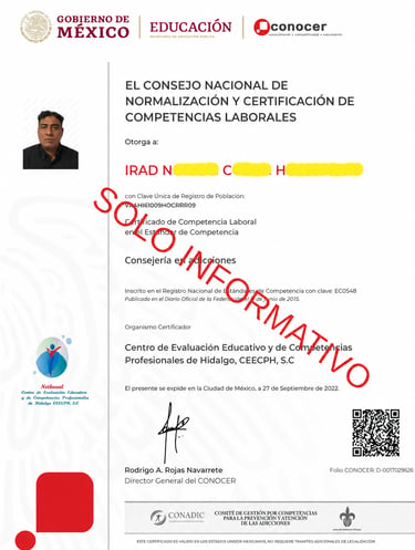 Official CONOCER labor competency certificate for addiction counseling from Mexico's Secretary of Public Education.