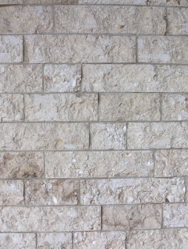 Coral wall