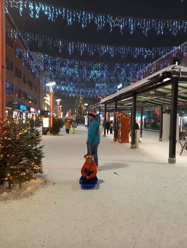 Sleigh through town