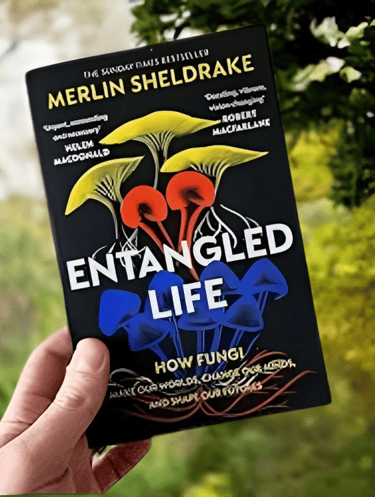 Book Review - Entangled Life by Merlin Sheldrake