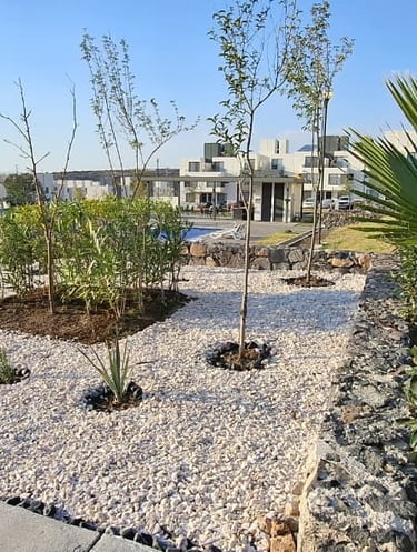 jardin remodelado en fraccionamiento 