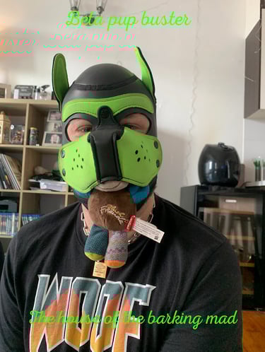 Man in pup mask with chew toy.
