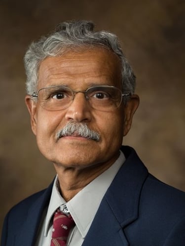 Prof. Surendra P. Singh   (University of Arkansas, USA)