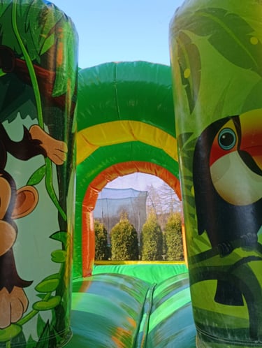 Auf Safari Multiplay