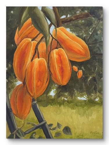 Carambola Glow, 12x16"