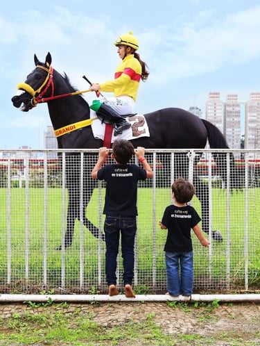 a woman riding a horse in a fenced in area