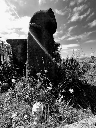 A modern photograph where someone has placed a skull no doubt for effect.