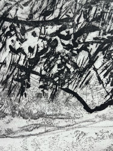 Detail of soft ground and sugar lift textures