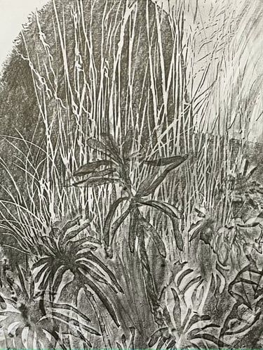 Graphite imprint of the Peacock Garden 