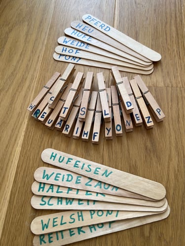 Educational word matching game with German horse-related horse terms on wooden sticks & clothespins.
