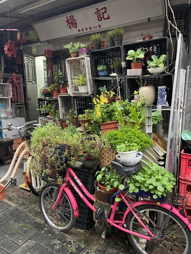 a bicycle parked in front of a store