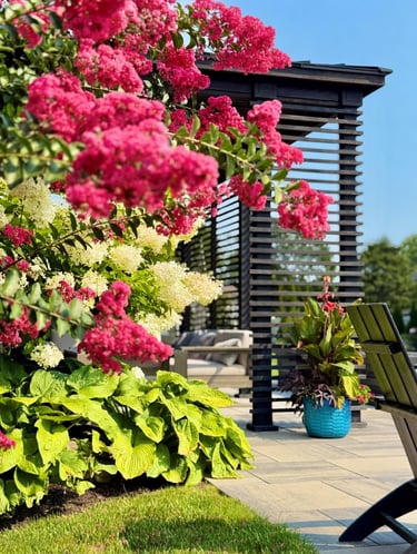 bougainvillea in southwest florida from a landscaping design company naples