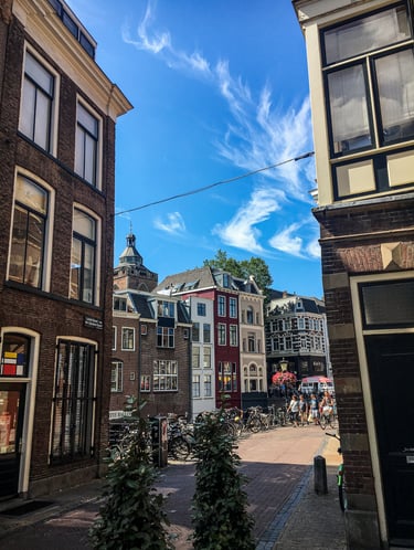 Donkere Gaard Utrecht