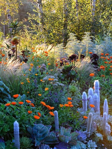 Dense naturalistic planting with orange flowers, blue accents, grasses and seasonal textures in a li