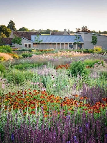 Piet Oudolf-style perennial meadow garden with colorful flowers, grasses and layered seasonal planti