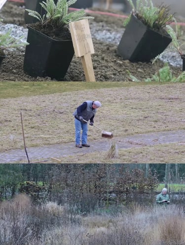 Winter garden maintenance and dormant grasses showing how structure, texture and quiet beauty remain