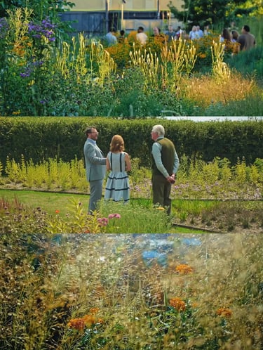 Seasonal garden scenes with layered perennials, grasses and flowering plants showing how a garden ch