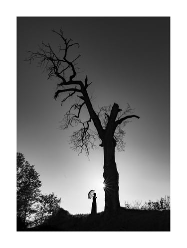 L'arbre Magique - La mariée