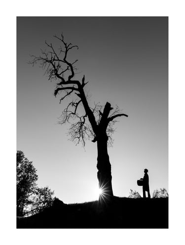 L'Arbre Magique - Le Copiste 