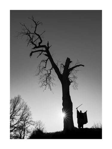 L'Arbre Magique - Le Chevalier 