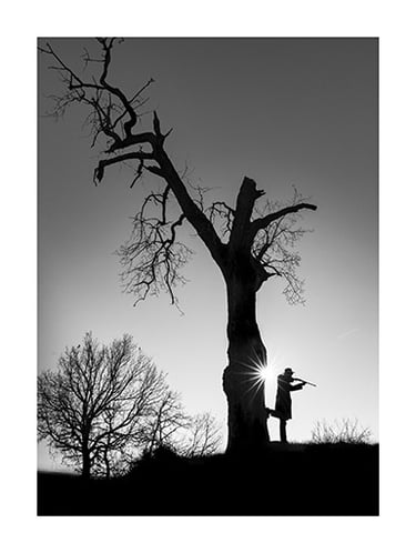 L'Arbre Magique - Le Cow-boy