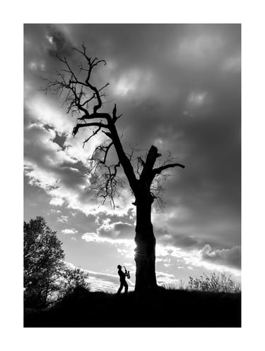 L'Arbre Magique - Le Saxophoniste 