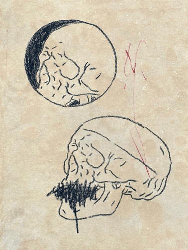 Rough sketch of two human skulls with no mouth