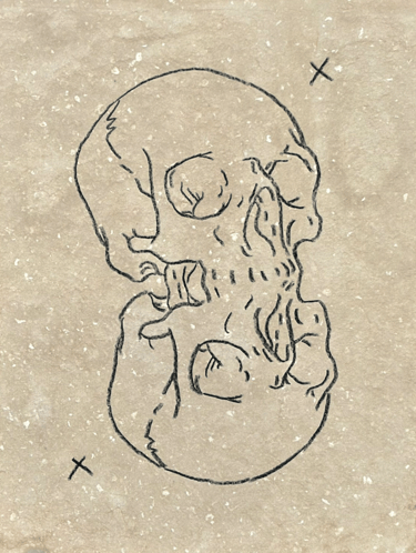 rough sketch of a reflected mirrored human skull made with wax pencil