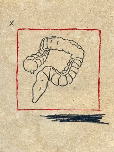 rough sketch of the intestines and redacted text