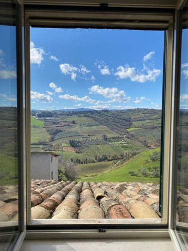 the view of vineyards from a bedroom window