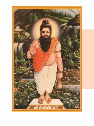 best astrologers online india