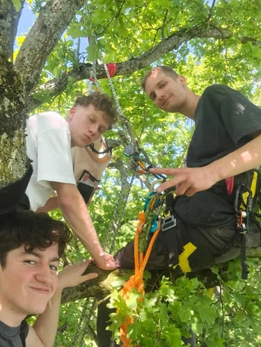 posés sur les branches pour casser la croute
