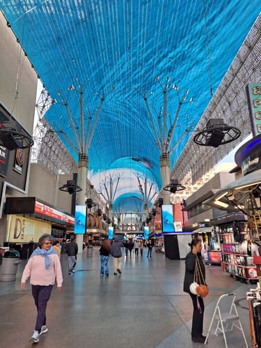 Finn's Footprints Las Vegas Nevada Budget Travel Review