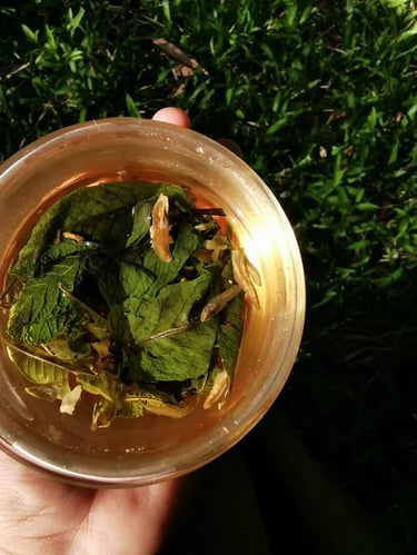 mano sosteniendo taza con infusion de hierbas