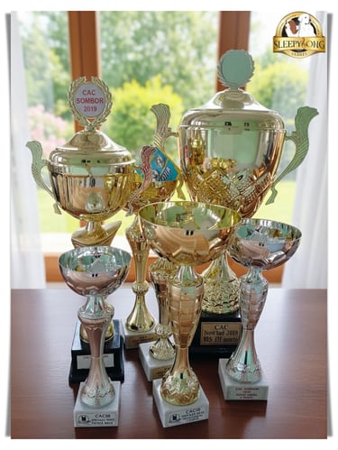 Winning MEDALS in Sleepysong Kennel. Number one winning dogs in Serbia.