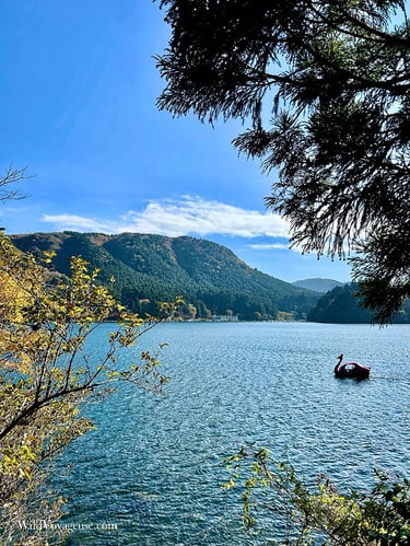 Vue sur le lac Ashi à Motohakone