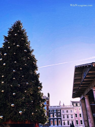 Covent Garden - 2023