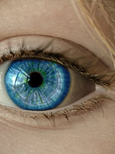 Les mouvements oculaires lors des séances de RITMO® (assimilé EMDR) permettent le retraitement de l'information traumatique