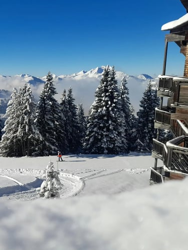 Peaceful winter landscape with snow-covered trees and a narrow trail through the forest