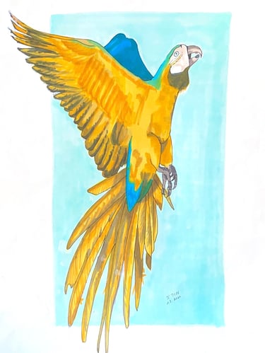 Parrot taking flight