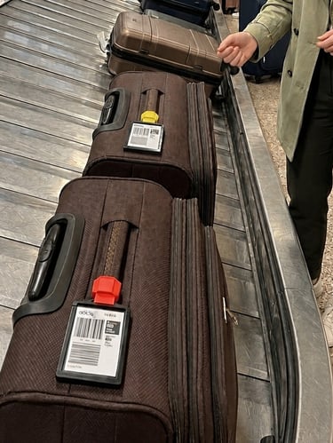 Identical Bags on the carousel are easily identified by color eBt