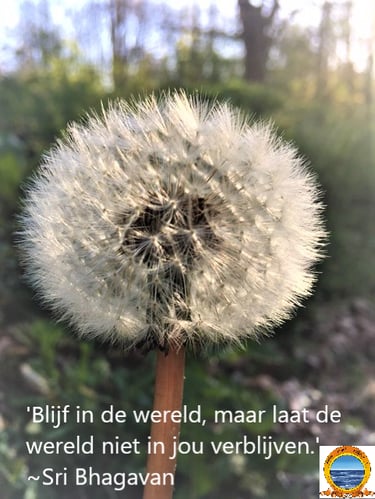 Quote van spiritueel Leraar Sri Bhagavan van IVS