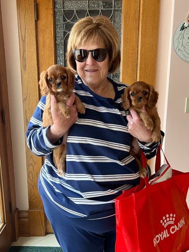 Friend with her ruby puppies